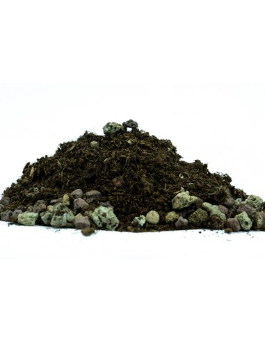 Terriccio per cactacee